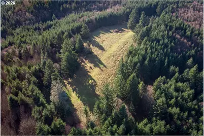 0 Bishop Creek Rd, Deer Island, OR 97054 - Photo 11