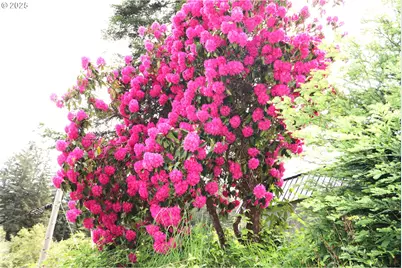 68814 W Fork Millicoma Rd, Coos Bay, OR 97420 - Photo 17