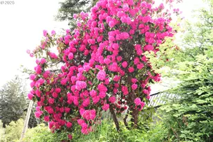 68814 W Fork Millicoma Rd, Coos Bay, OR 97420 - Photo 17