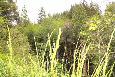 68814 W Fork Millicoma Rd, Coos Bay, OR 97420 - Photo 15