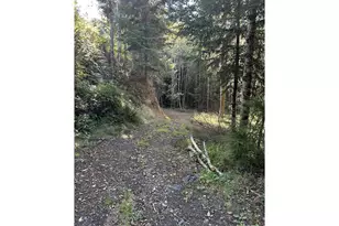 97450 Kadora Ln, North Bend, OR 97459 - Photo 37