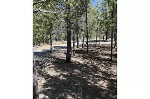 123415 Surveyor Rd, Crescent Lake, OR 97733 - Photo 39