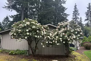 26605 NE 96th Ct, Battle Ground, WA 98604 - Photo 45