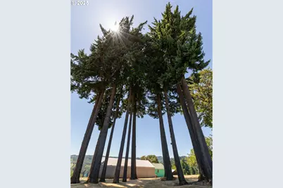 55496 Pioneer Rd, Scappoose, OR 97056 - Photo 29