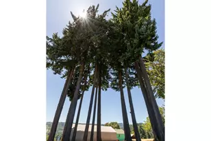 55496 Pioneer Rd, Scappoose, OR 97056 - Photo 29