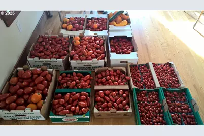 11825 NE Finn Hill Loop, Carlton, OR 97111 - Photo 29