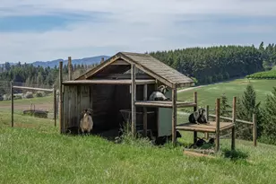 11825 NE Finn Hill Loop, Carlton, OR 97111 - Photo 25