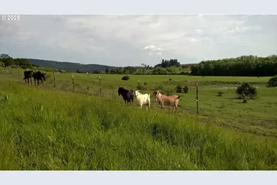 11825 NE Finn Hill Loop, Carlton, OR 97111 - Photo 45