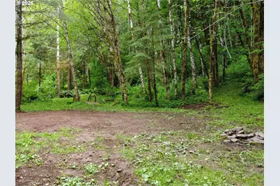 Rose Valley Rd, Kelso, WA 98626 - Photo 25