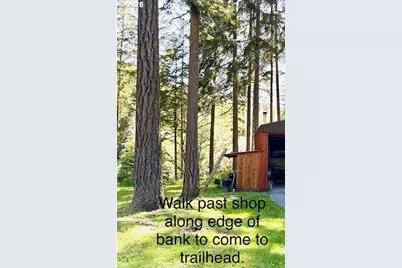 20736 Highway 42, Myrtle Point, OR 97458 - Photo 47