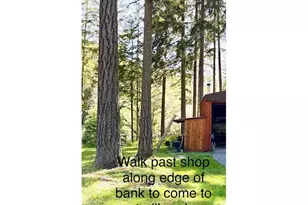 20736 Hwy 42, Myrtle Point, OR 97458 - Photo 47