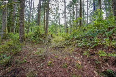 69881 E Alpine North Ct, Rhododendron, OR 97049 - Photo 41