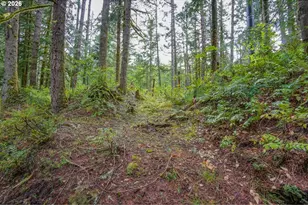 69881 E Alpine North Ct, Rhododendron, OR 97049 - Photo 41