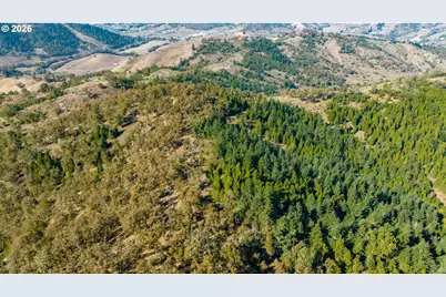 Buckhorn Rd, Roseburg, OR 97470 - Photo 3
