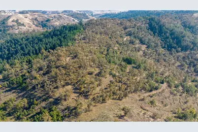 Buckhorn Rd, Roseburg, OR 97470 - Photo 13