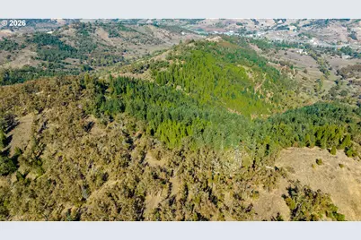 Buckhorn Rd, Roseburg, OR 97470 - Photo 7
