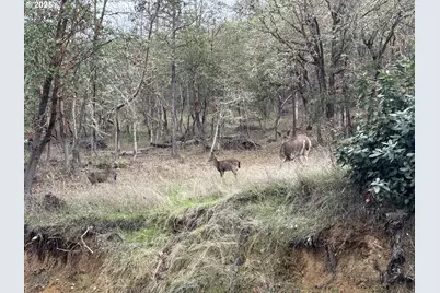 2263 Canyonville Riddle Rd, Riddle, OR 97469 - Photo 29