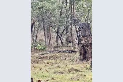 2263 Canyonville Riddle Rd, Riddle, OR 97469 - Photo 35