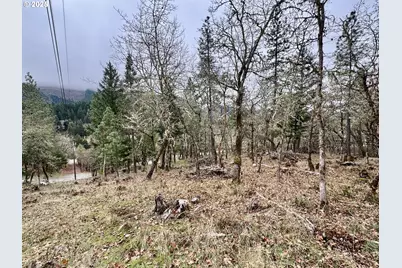 2263 Canyonville Riddle Rd, Riddle, OR 97469 - Photo 31