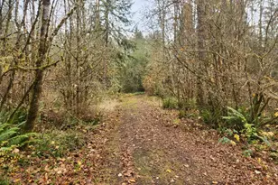 8974 Spirit Lake Hwy, Toutle, WA 98649 - Photo 27