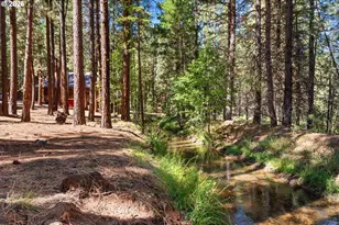 39151 Last Chance Ln, Baker City, OR 97814 - Photo 47