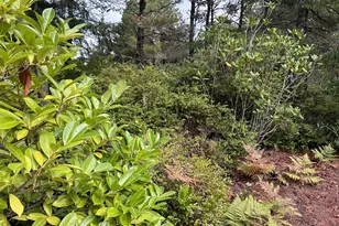 4948 Oceana Dr, Florence, OR 97439 - Photo 35