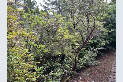 4948 Oceana Dr, Florence, OR 97439 - Photo 33