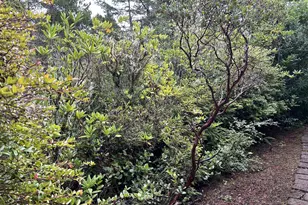 4948 Oceana Dr, Florence, OR 97439 - Photo 33