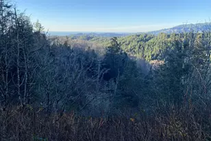 96477 Cape Ferrelo Rd, Brookings, OR 97415 - Photo 23