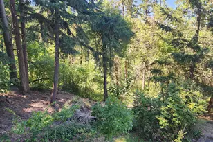 202 Foxtail Dr, Eugene, OR 97405 - Photo 3