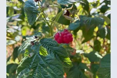 32215 NW Eagle Crest Dr, Ridgefield, WA 98642 - Photo 33