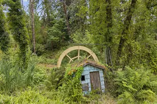 17411 NW Panther Creek Rd, Carlton, OR 97111 - Photo 13