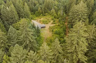 17411 NW Panther Creek Rd, Carlton, OR 97111 - Photo 7