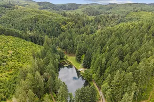 17411 NW Panther Creek Rd, Carlton, OR 97111 - Photo 3