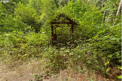 17411 NW Panther Creek Rd, Carlton, OR 97111 - Photo 39