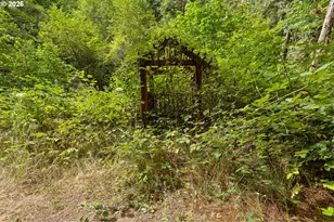 17411 NW Panther Creek Rd, Carlton, OR 97111 - Photo 39
