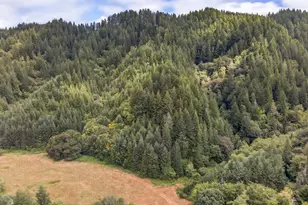2178 Deans Creek Rd, Reedsport, OR 97467 - Photo 7