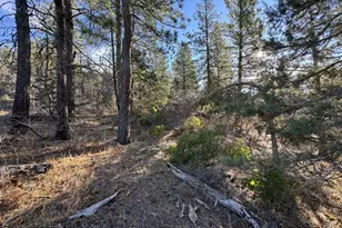 Hummingbird Dr, Bonanza, OR 97623 - Photo 1