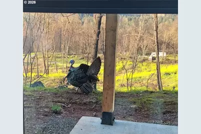 10855 Kubin Rd SE, Lyons, OR 97358 - Photo 21