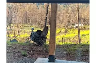 10855 Kubin Rd SE, Lyons, OR 97358 - Photo 21