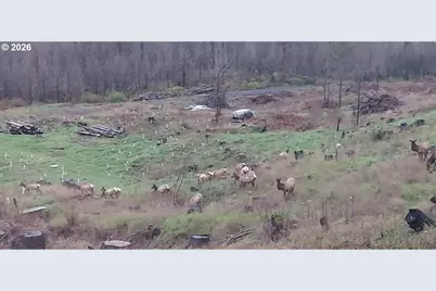 10855 Kubin Rd SE, Lyons, OR 97358 - Photo 19