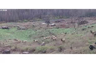 10855 Kubin Rd SE, Lyons, OR 97358 - Photo 19