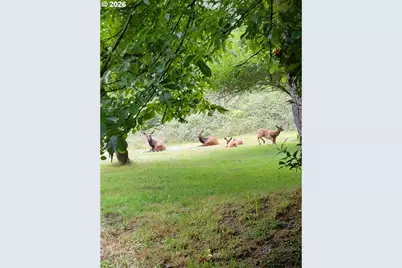 16870 Thompson Rd, Brookings, OR 97415 - Photo 29