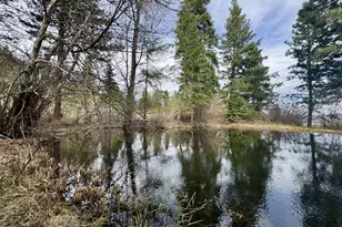 67086 Happy Walrus Rd, Summerville, OR 97876 - Photo 41