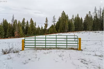 Highway 204, Weston, OR 97886 - Photo 5