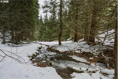 Highway 204, Weston, OR 97886 - Photo 13