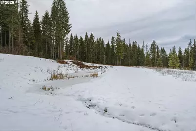 Highway 204, Weston, OR 97886 - Photo 9