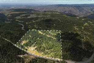 Hwy 204, Weston, OR 97886 - Photo 1