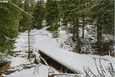 Highway 204, Weston, OR 97886 - Photo 15