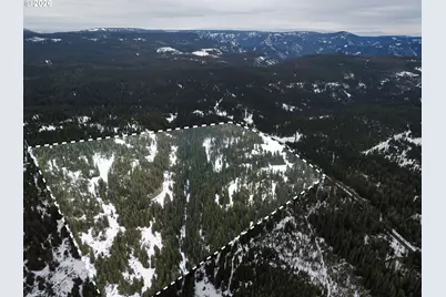 Highway 204, Weston, OR 97886 - Photo 3